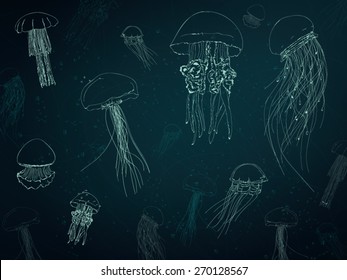 Jellyfish