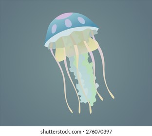 jellyfish