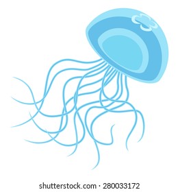 Jellyfish