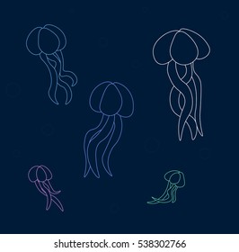 jellyfish