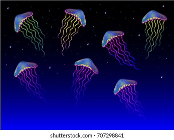 Jellyfish