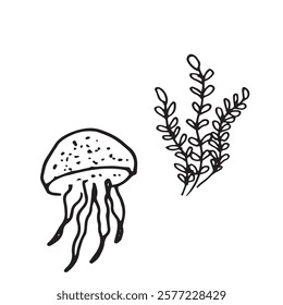 jellyfish and algae sea ocean black and white vector doodle illustration set isolated on white background base for textile typography postcard design