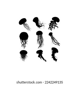 Jellyfish animal sea illustration design