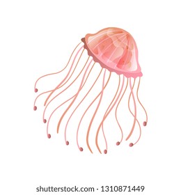 Jellyfish, Beautiful Coral Swimming Marine Underwater Creature Vector Illustration