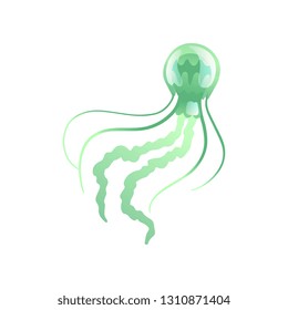 Jellyfish, Beautiful Green Swimming Marine Underwater Creature, Glowing Transparent Medusa Vector Illustration