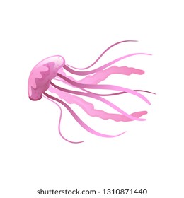 Jellyfish, Beautiful Pink Swimming Marine Underwater Creature Vector Illustration