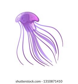 Jellyfish, Beautiful Purple Swimming Marine Underwater Creature Vector Illustration