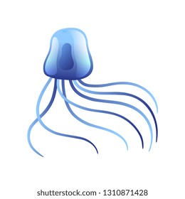 Jellyfish, Beautiful Swimming Marine Underwater Creature, Glowing Transparent Medusa Vector Illustration