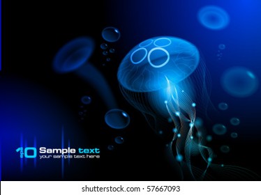 Jellyfish at the black background. Vector illustration EPS 10