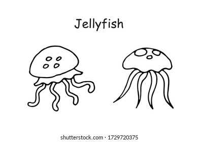 Jellyfish black and white outline doodle isolated vector illustration