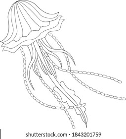 Jellyfish black and white vector illustration 
