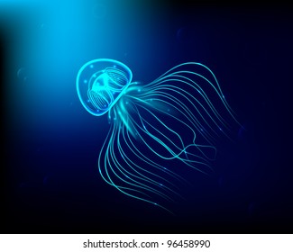 Jellyfish at the blue background.