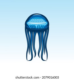 jellyfish with blue color vector