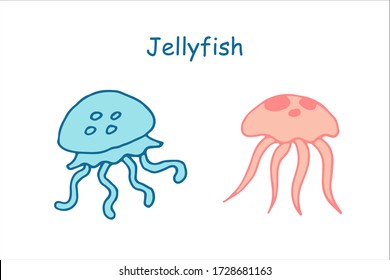 Jellyfish blue and salmon color isolated vector illustration
