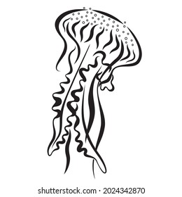 Jellyfish calligraphic drawing tattoo design