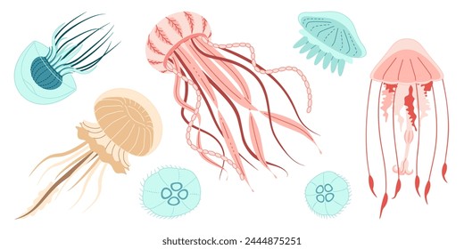 Jellyfish cartoon icon collection. Medusa trendy flat style icon set. Isolated on white background. Vector illustration