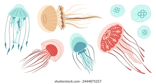 Jellyfish cartoon icon collection. Medusa trendy flat style icon set. Isolated on white background. Vector illustration