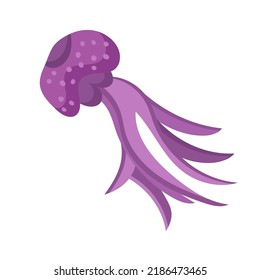 Jellyfish cartoon isolated medusa and biology jelly fish. Marine and water life animal vector illustration. Colorful exotic undersea wildlife with tentacle and sea nature icon