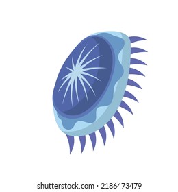 Jellyfish cartoon isolated medusa and biology jelly fish. Marine and water life animal vector illustration. Colorful exotic undersea wildlife with tentacle and sea nature icon
