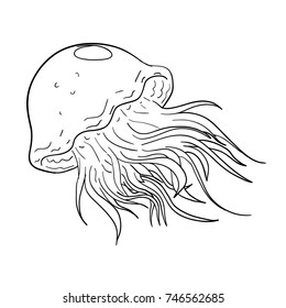 Jellyfish cartoon vector hand drawn
