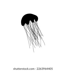 Jellyfish Character sea animal on deep background. Wild life illustration. Vector illustration.