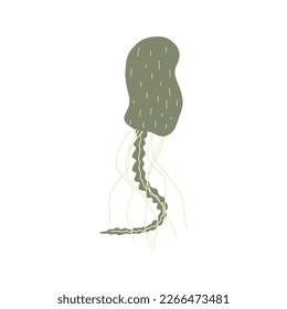 Jellyfish Character sea animal on deep background. Wild life illustration. Vector illustration.