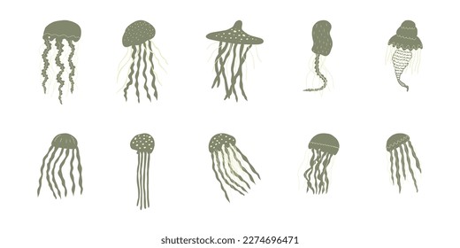 Jellyfish Character sea animal on deep background. Wild life illustration. Vector illustration.