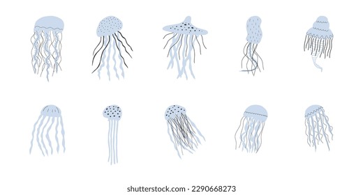 Jellyfish Character sea animal on deep background. Wild life illustration. Vector illustration.