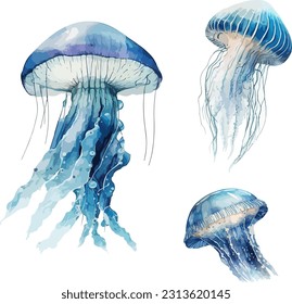 Jellyfish clipart, isolated vector illustration.