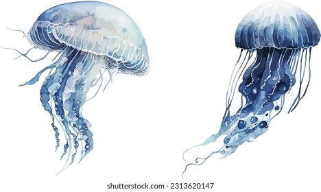 Jellyfish clipart, isolated vector illustration.