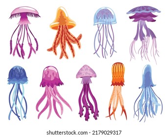 Jellyfish collection. Sea wildlife and ocean fauna concept, aquatic underwater or undersea animals. Creative different medusa flat icon set for web design. Colorful swimming marine creatures