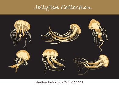 Jellyfish collection. Vector illustration. Isolated on black background.