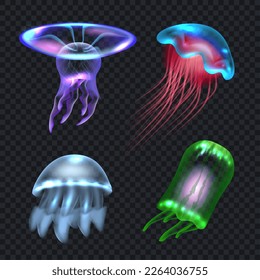 Jellyfish. Colored underwater realistic transparent jelly animals collection set decent vector template