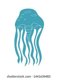 Jellyfish colored vector illustration. Blue hand drawn sea jelly, ocean life creature 