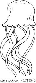 jellyfish coloring book. Vector illustration isolated on a white background. Doodle style drawing, free hand.