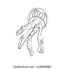 Jellyfish coloring pages
