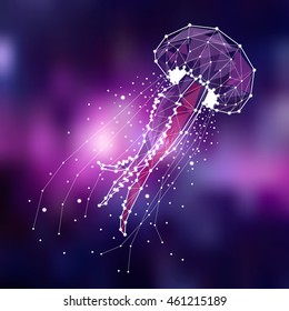 jellyfish , constellation , star, space, ground, vector graphics