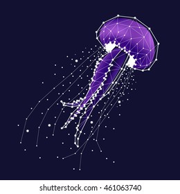 jellyfish , constellation , star , vector graphics