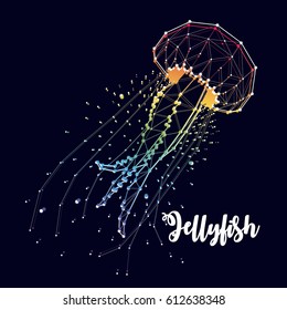 jellyfish , constellation , star , vector graphics