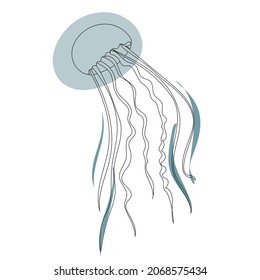 jellyfish, continuous line drawing isolated, vector