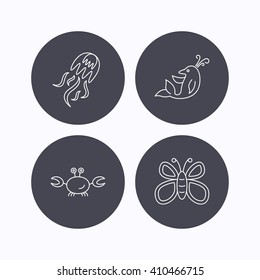 Jellyfish, crab and dolphin icons. Butterfly linear sign. Flat icons in circle buttons on white background. Vector