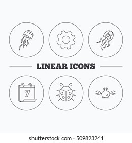 Jellyfish, crab and ladybug icons. Ladybird linear sign. Flat cogwheel and calendar symbols. Linear icons in circle buttons. Vector