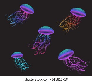 Jellyfish in dark ocean