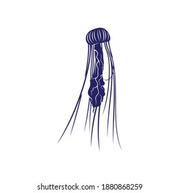 Jellyfish design vector illustration, Creative Jellyfish logo design concepts template, icon symbol
