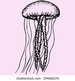 jellyfish, doodle style, sketch illustration