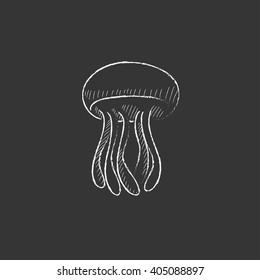 Jellyfish. Drawn in chalk icon.