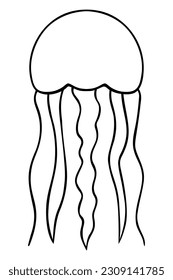 Jellyfish. Eared Aurelia. Vector illustration. Outline on a white isolated background. Inhabitant of the ocean. Marine invertebrate animal with tentacles. Hand drawing style. Sketch. Coloring book.