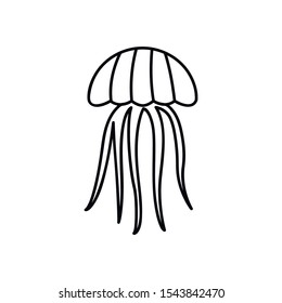 Jellyfish elegant illustration. Jelly fish black color silhouette. Isolated on white.