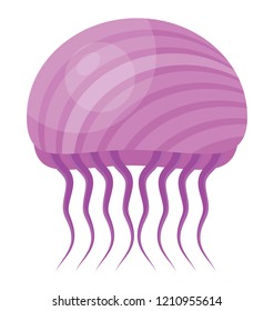 Jellyfish flat colored icon