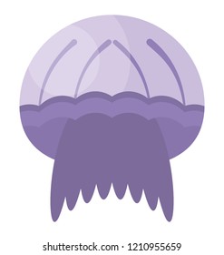 Jellyfish flat colored icon